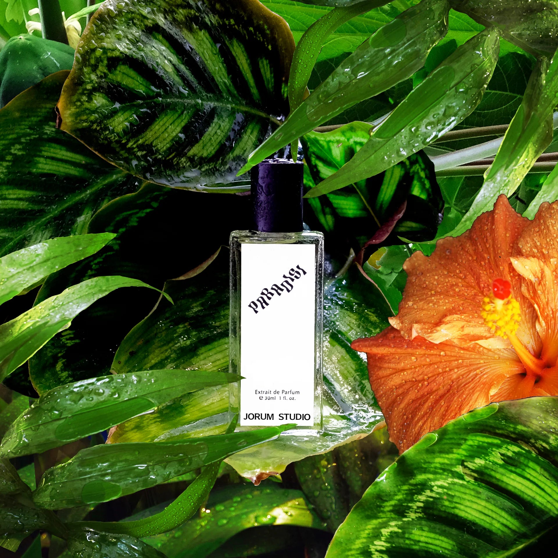Jorum Studio - Paradisi - Extrait de Parfum - 30ml